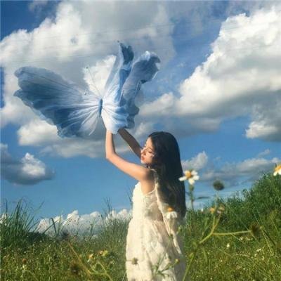 财富、年轻和美貌 海报