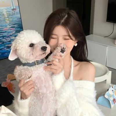 真的不骗你2 海报